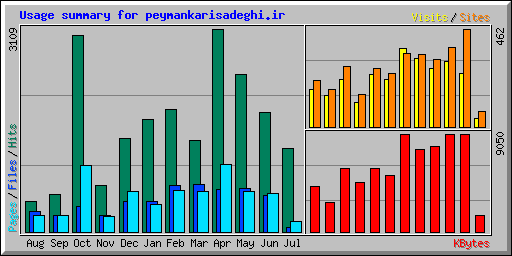 Usage summary for peymankarisadeghi.ir